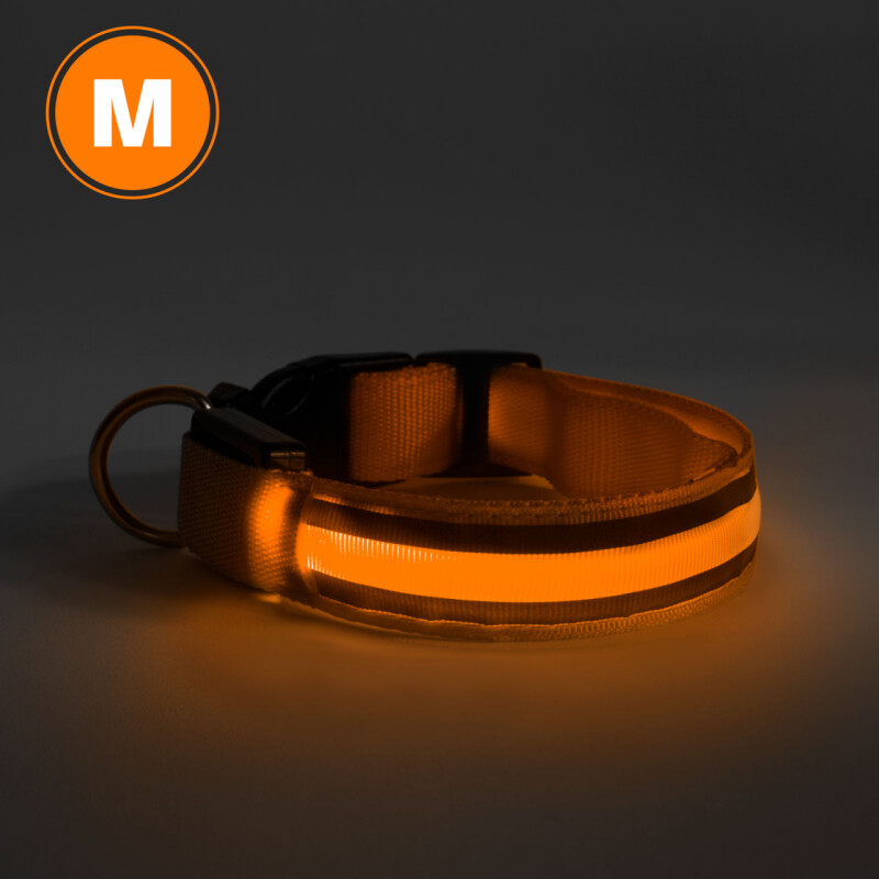 Svietiaci LED obojok  " M " oranžový (60028C)