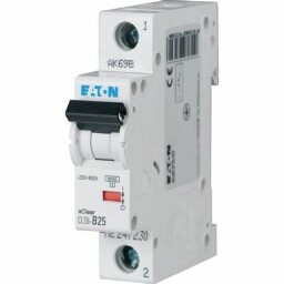 Istič Eaton - 270366 - CLS6-D25-DP (6kA)