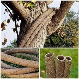 Káblová trubka 15/10mm imitácia koreň viniča, pre interiér/exteriér