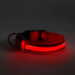 Svietiaci LED obojok  " M " červený (60028B)