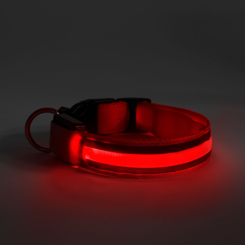 Svietiaci LED obojok  " M " červený (60028B)