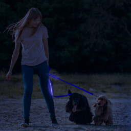 Svietiace LED vodítko 2,5 x 120cm s akumulátorom ,modré (60026D)