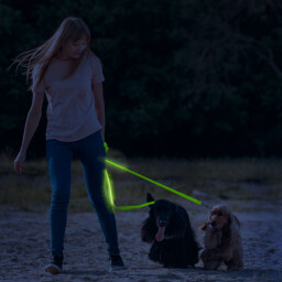 Svietiace LED vodítko 2,5 x 120cm s akumulátorom , zelené (60026C)