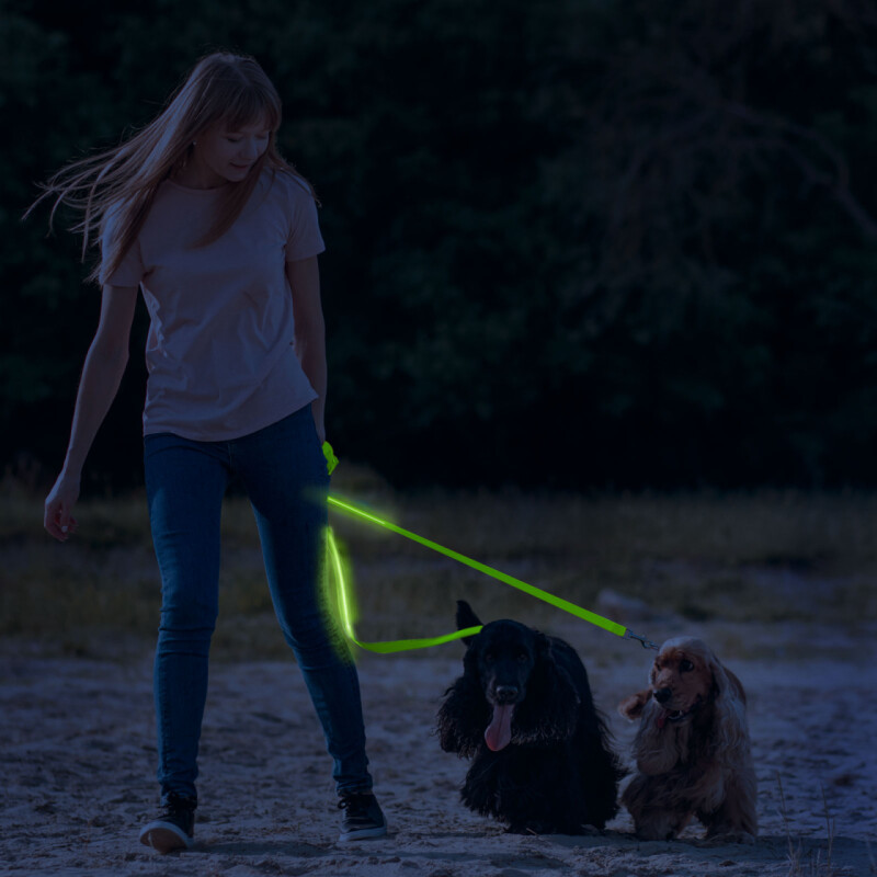 Svietiace LED vodítko 2,5 x 120cm s akumulátorom , zelené (60026C)