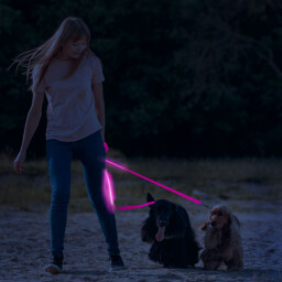 Svietiace LED Vodítko 2,5 x 120cm s akumulátorom , rúžové (60026B) 