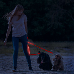 Svietiace LED vodítko 2,5 x 120 cm s akumulátorom , červené (60026A)