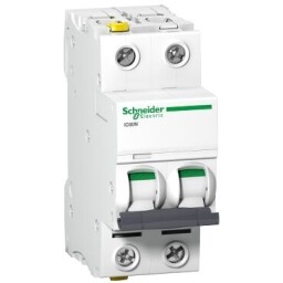 Istič ACTI9 IC60N A9F03206 B/6A/2P 6kA