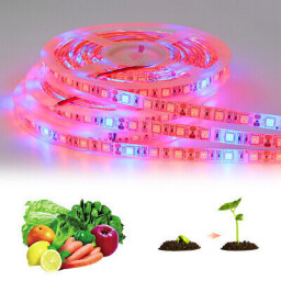 LED pás SMD5050 60LED IP65 GROW pestovaťeľský (K039-100) -- metráž --