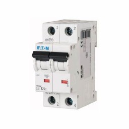 Istič Eaton 270462 CLS6-D4/1N-DP (6kA)